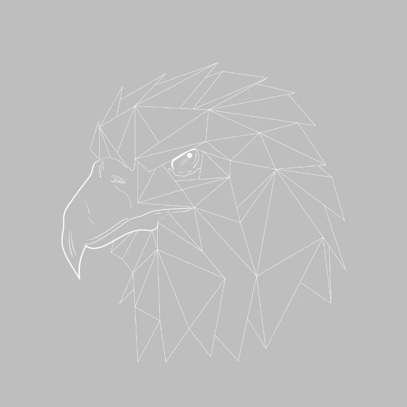 Oiseaux Oiseaux Aigles Géométrie Triangles