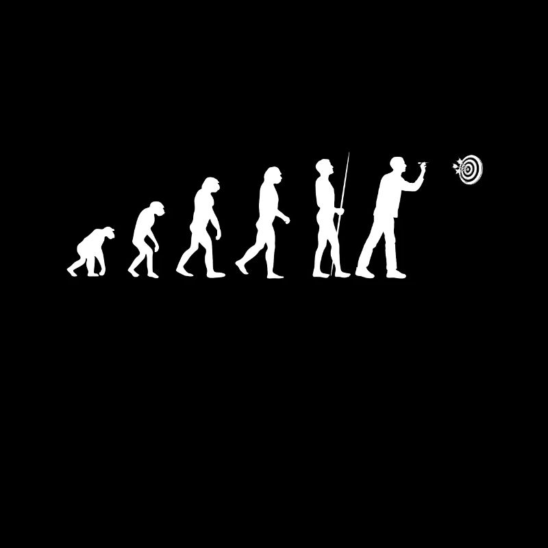 Darts Evolution Dartboard Dartpfeil Darten