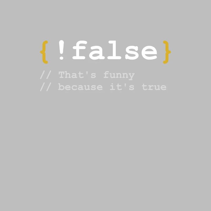 False Geschenk für Informatiker