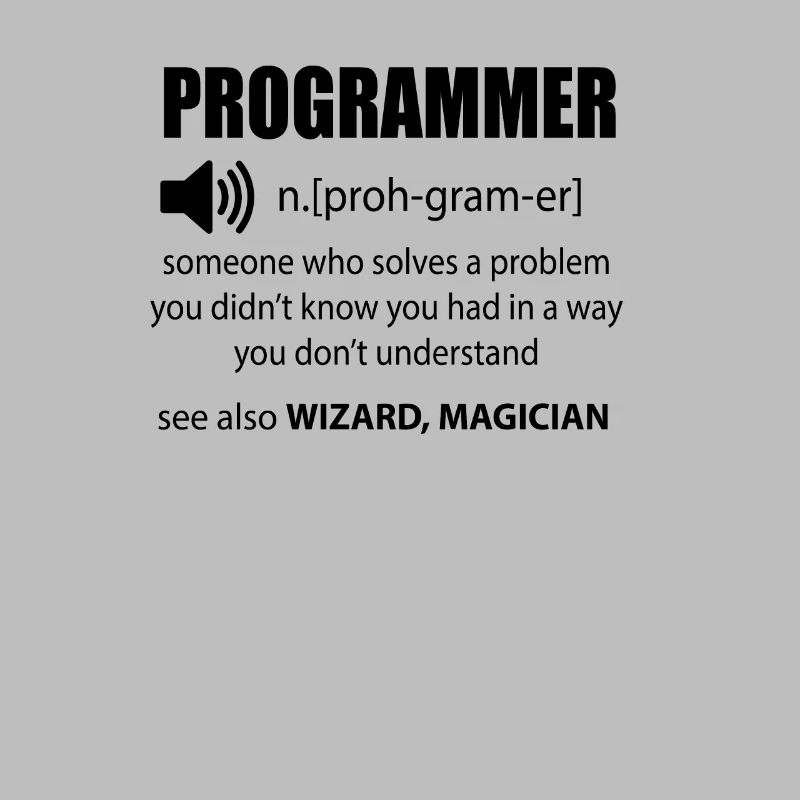 Code Programmer Dictionary Developer Gift