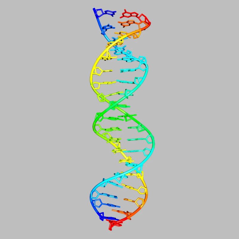 modèle coloré de molécule d'ADN d'acide désoxyribonucléique