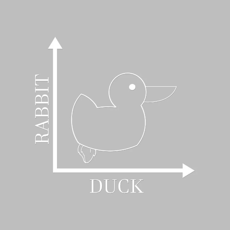 Rabbit Duck - Gone Wrong