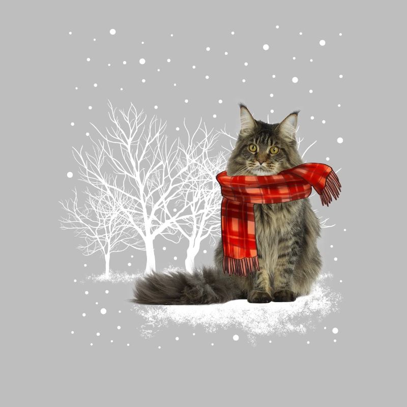 Snow cat Maine Coon im Winter