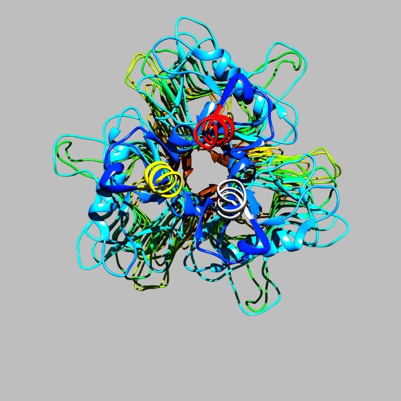 Native Tailspike Protein Molécule Bactériophage