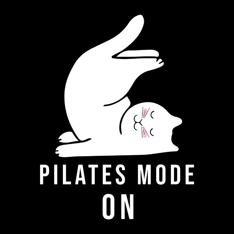 Pilates Modus Ein