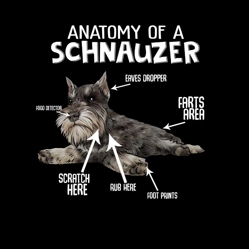 Schnauzer chien schnauzer géant