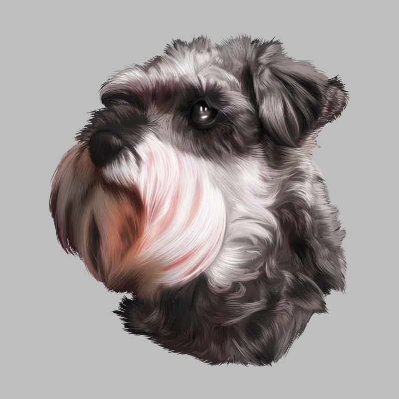 Schnauzer chien schnauzer géant