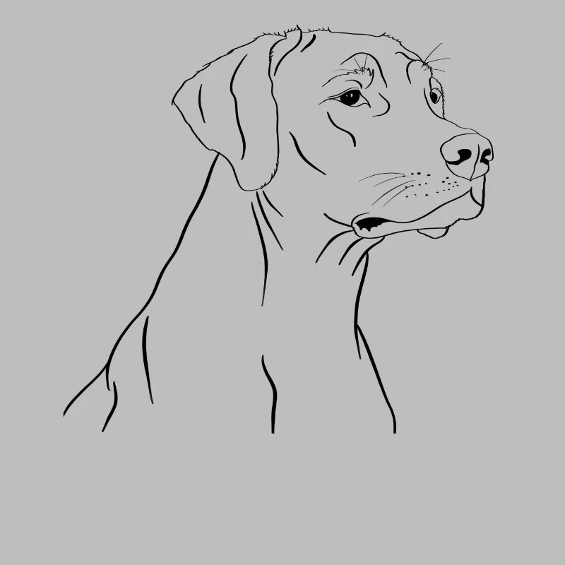 Dessin de Rhodesian Ridgeback