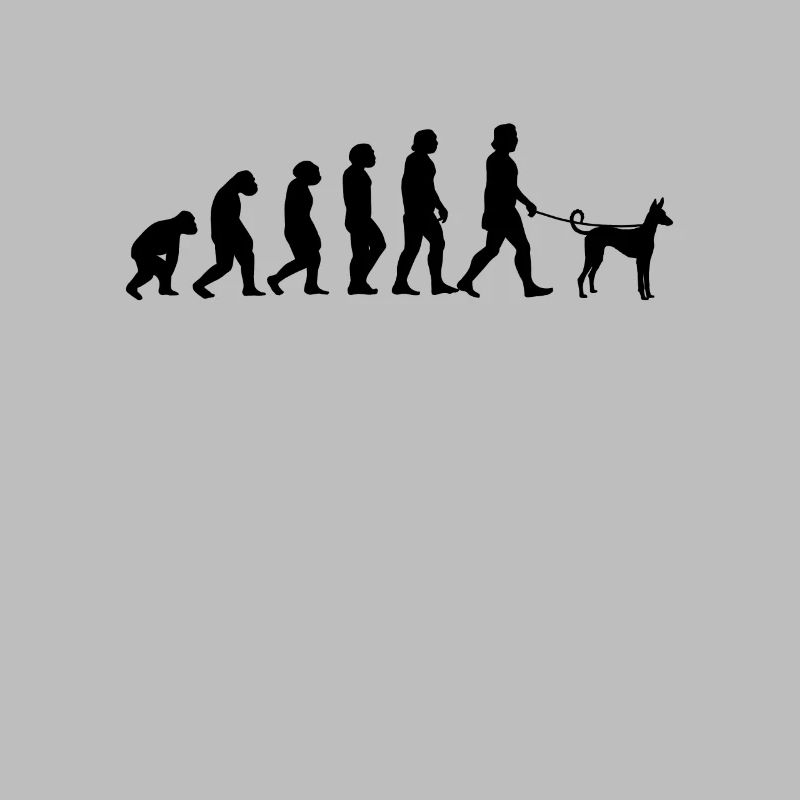 Cadeau de chien espagnol Podenco Evolution