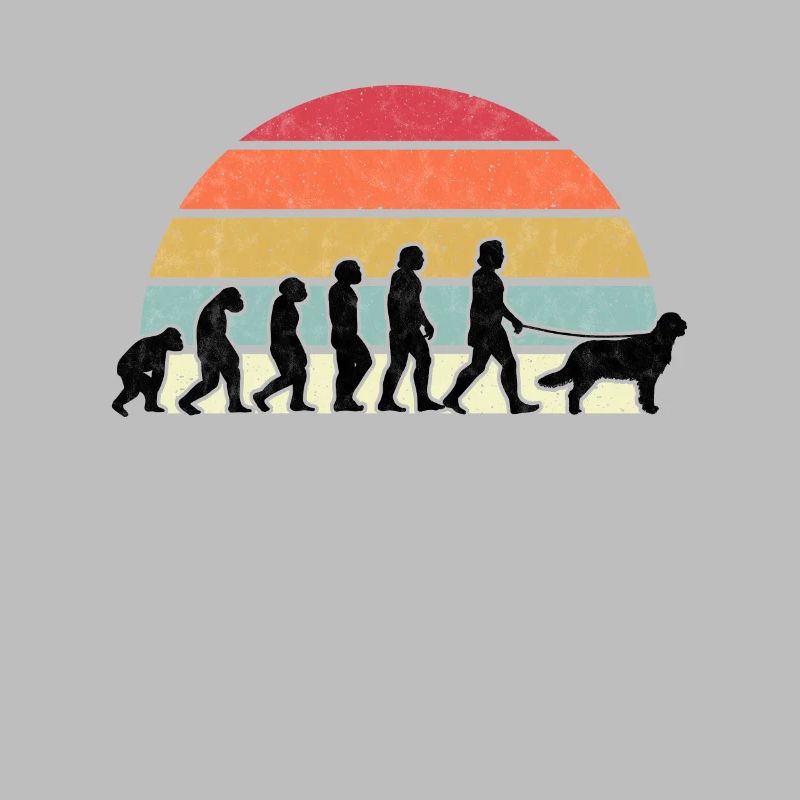 Flat Coated Retriever Evolution Retriever Cadeau