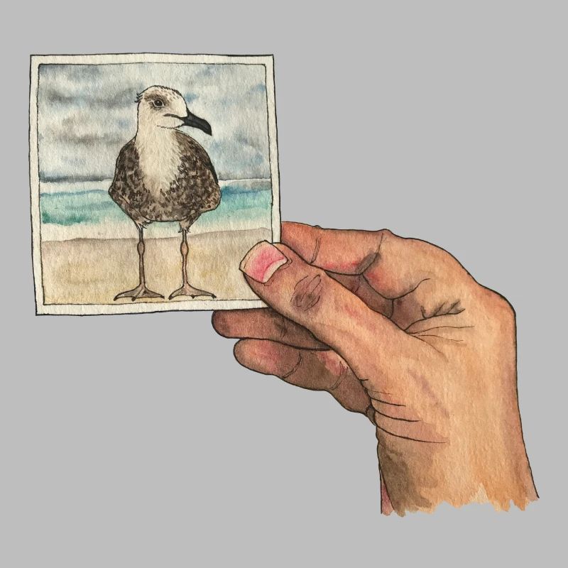 Hand mit Foto einer Möwe