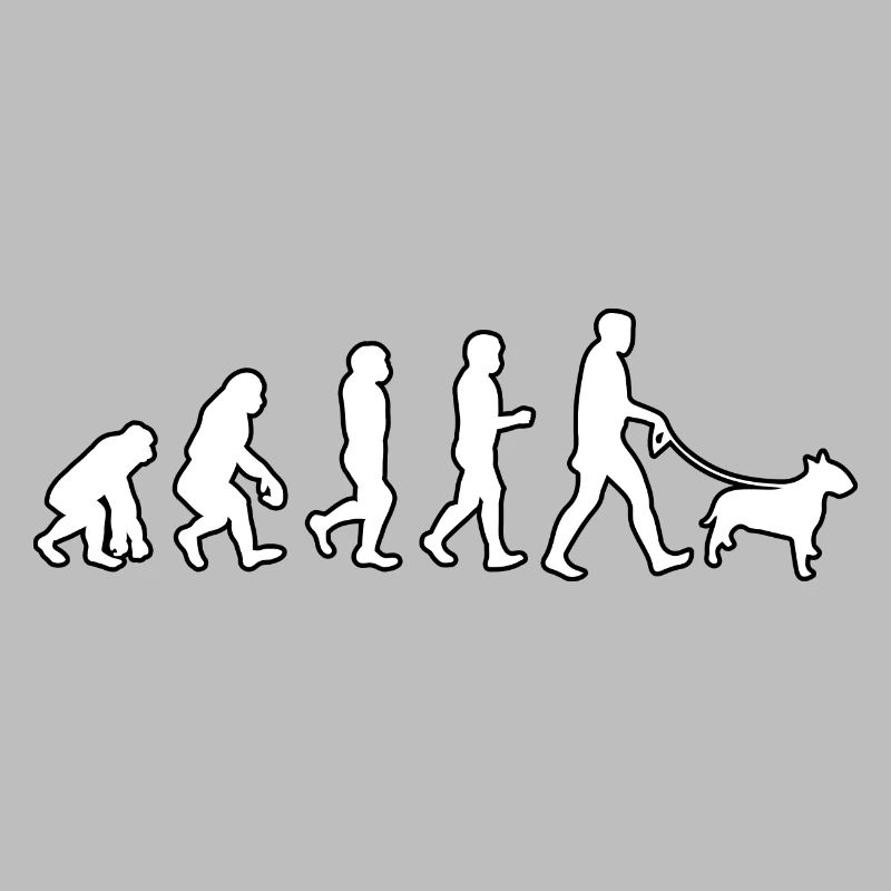 EVOLUTION Labrador