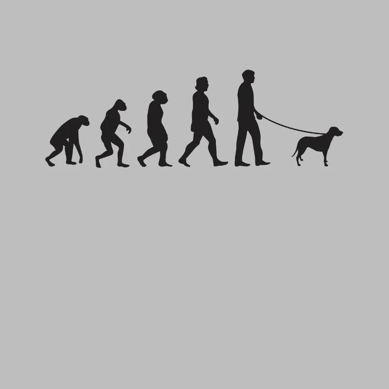 Brandlbracke Evolution Bracke chien de chasse