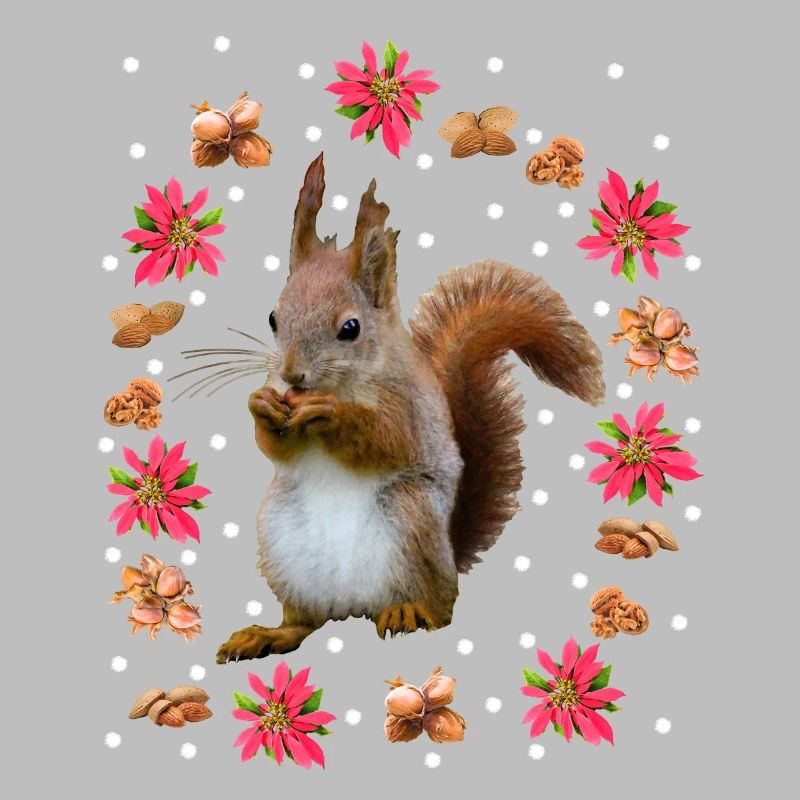 Eichhörnchen mit Nüssen, Weihnachtsstern, Haselnus