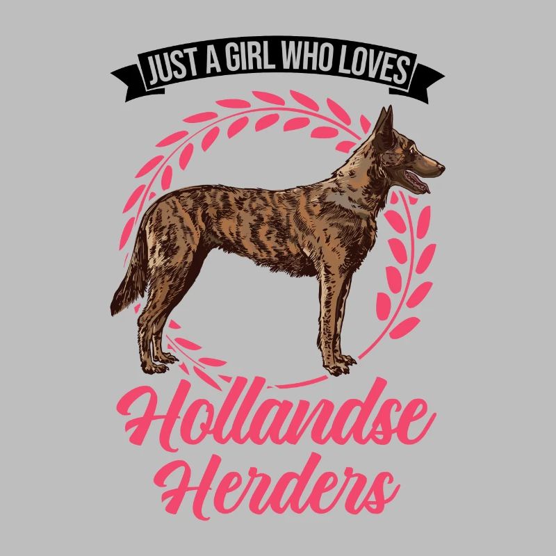 Hollandse Herder Mädchen Holländischer Schäferhund