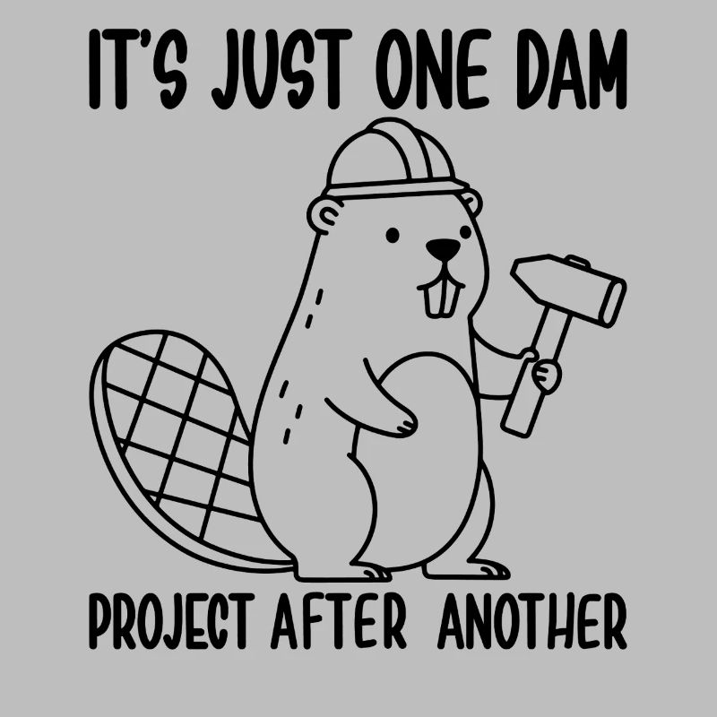 It's Just one Dam Project After Another