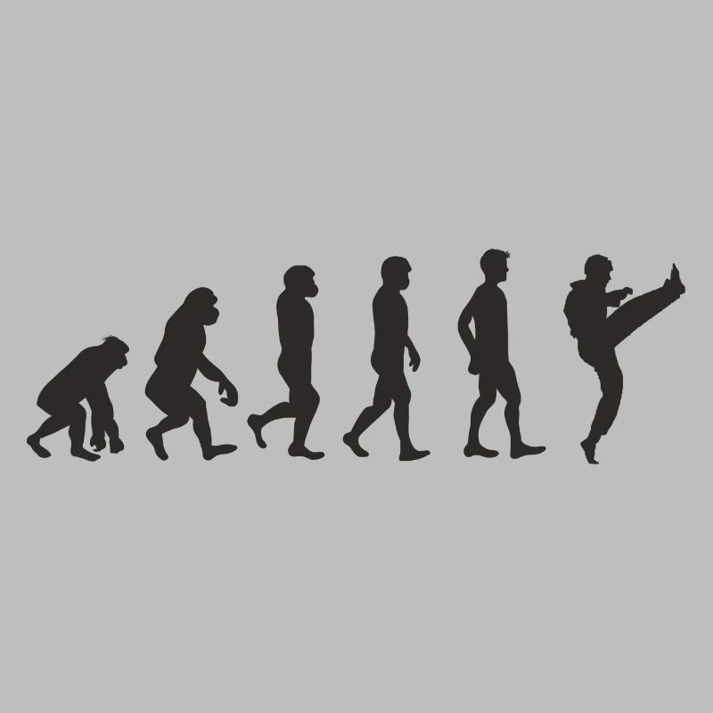 Evolution Karate