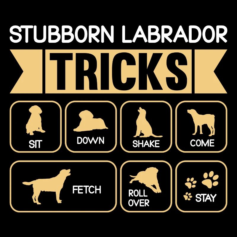 Astuces tenaces du labrador