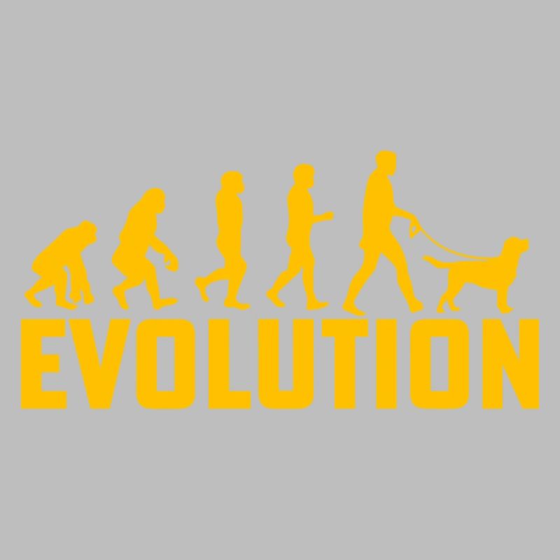 Évolution du Labrador