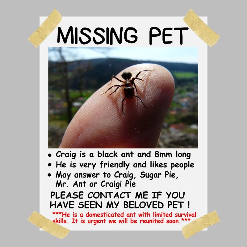 Missing Pet Ant