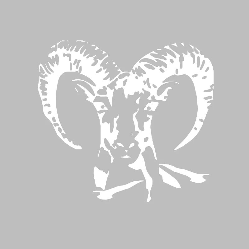 Mouflon sheep head