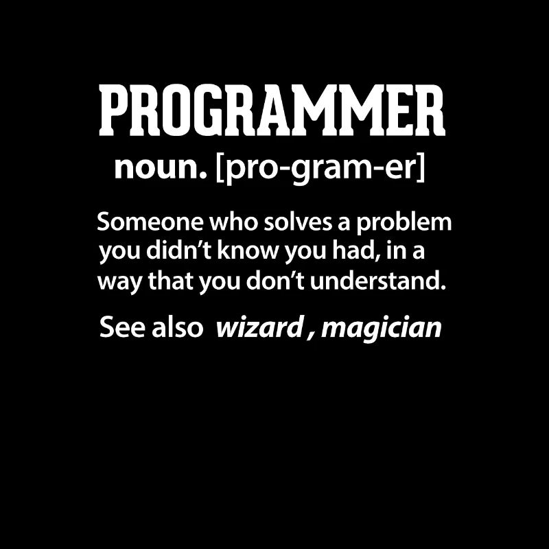 programmeur