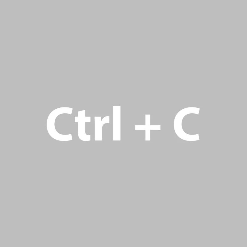 Ctrl Ctrl V Copy Paste Twins