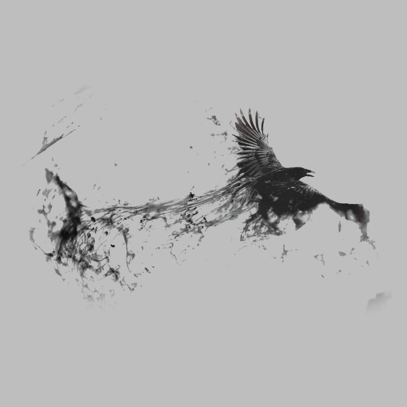 Conception Corvus Corbeau