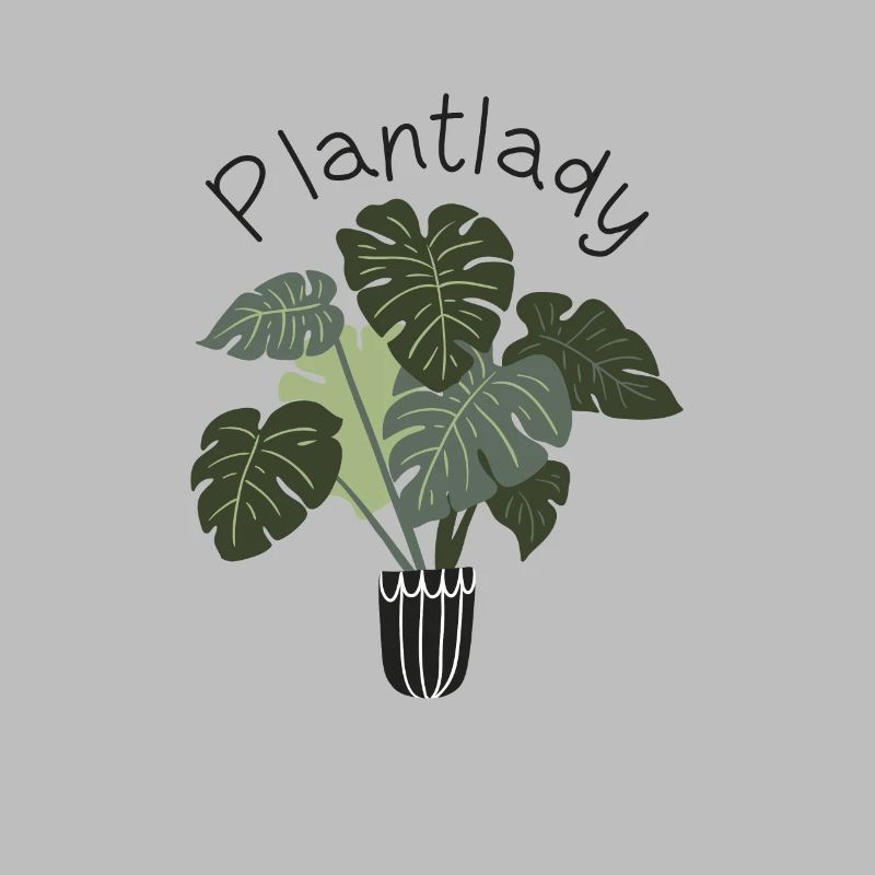 Plantuleuse plante succulente