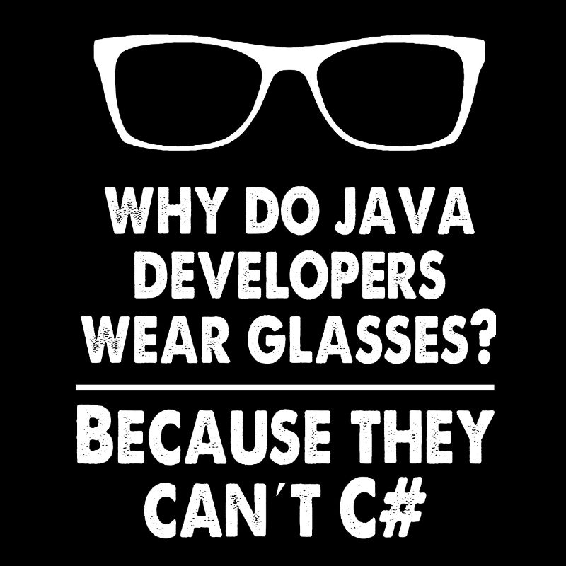 Developer Java