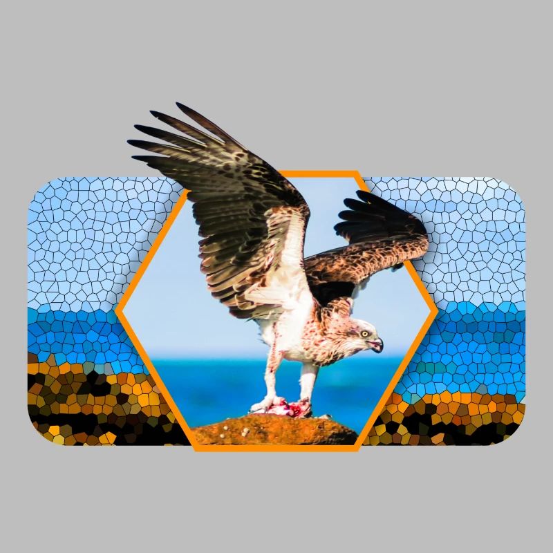 Eagle with spread wings and graphic shape