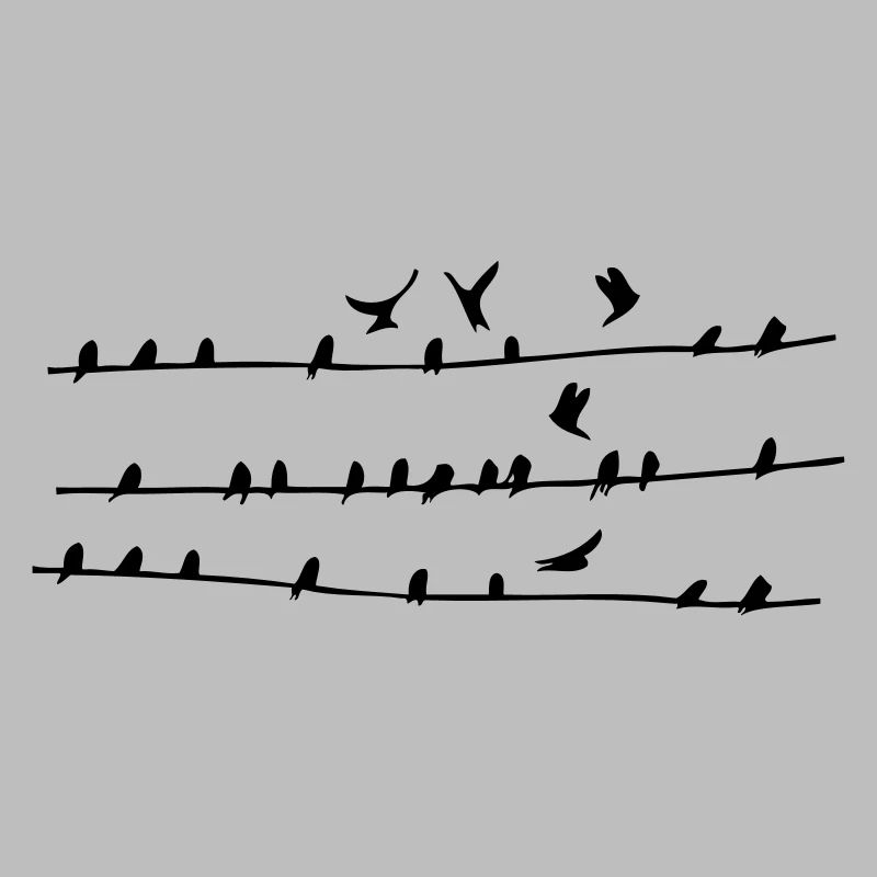 Oiseaux sur les lignes électriques