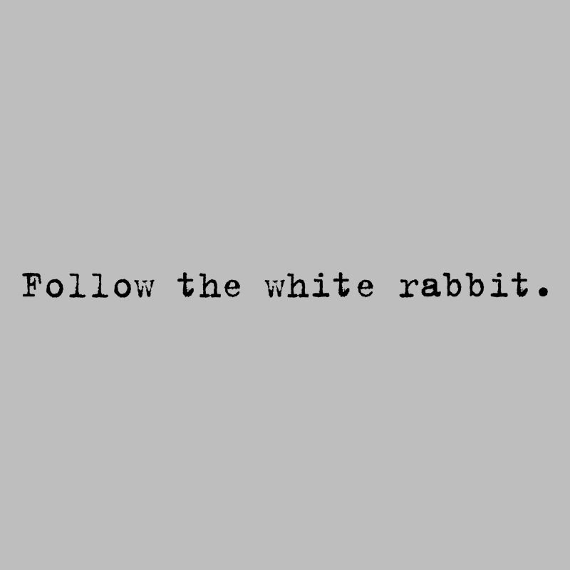 Follow the white rabbit Programming Informatik