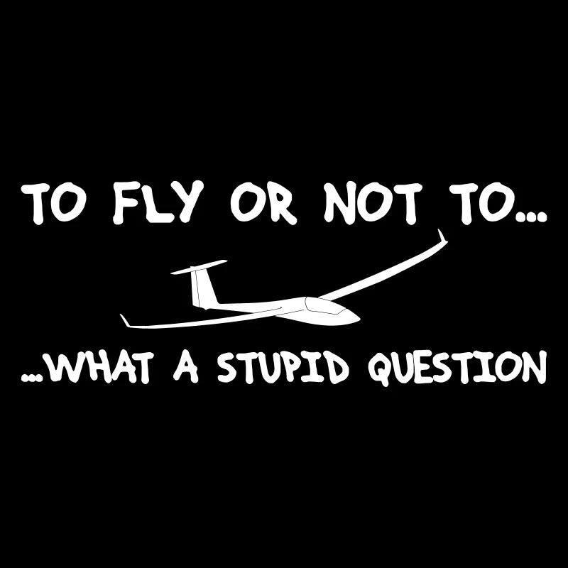 Question pilot glider pilot gliding glider