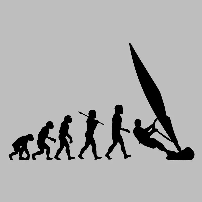 ws01 windsurf evolution