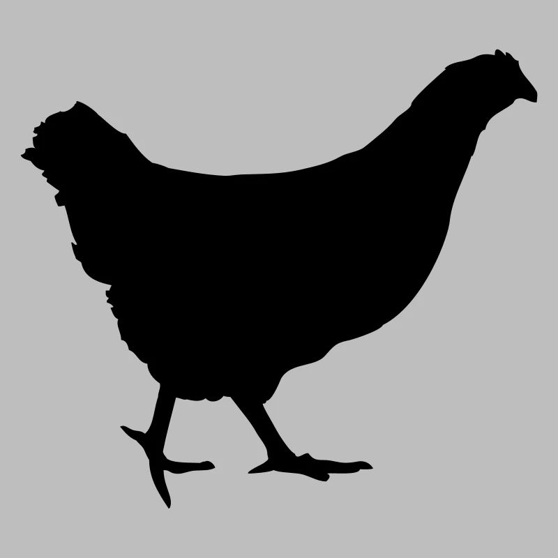 En cours d'exécution poule poulet