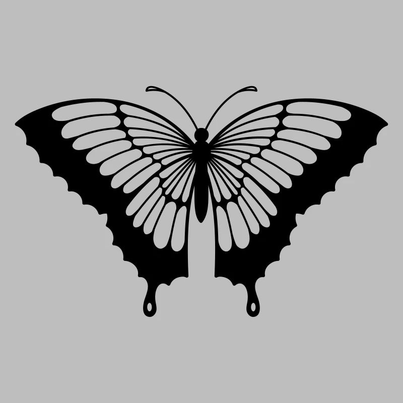 Papillon Noir/Transparent Aux Ailes Déployées N°2