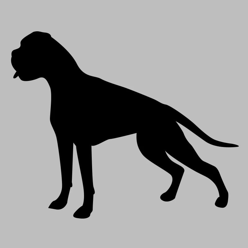 Boxer
