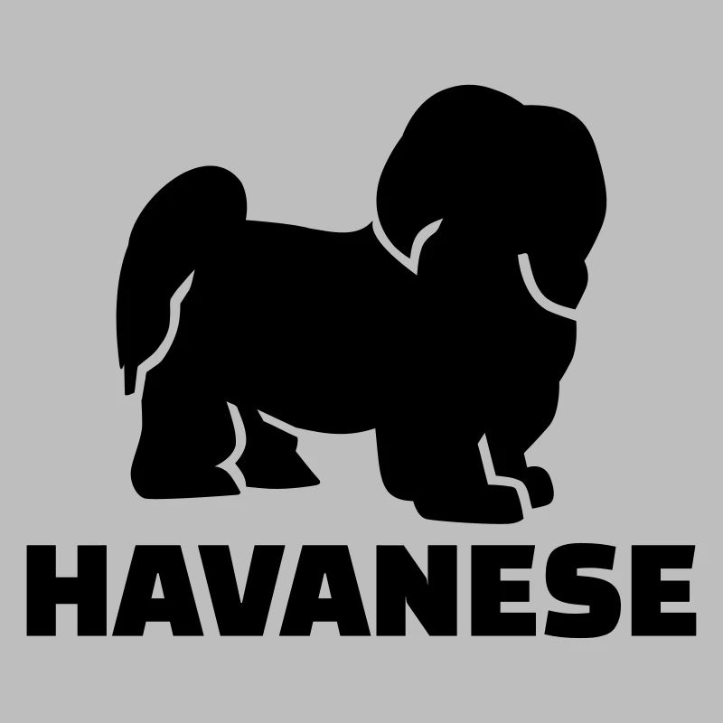 Havanese