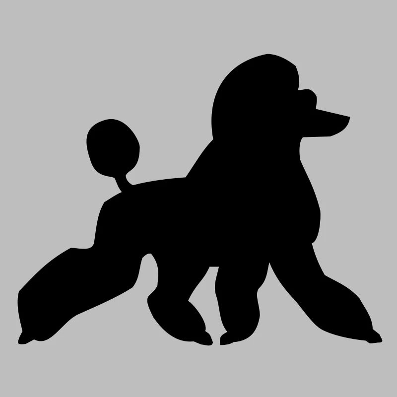 Caniche