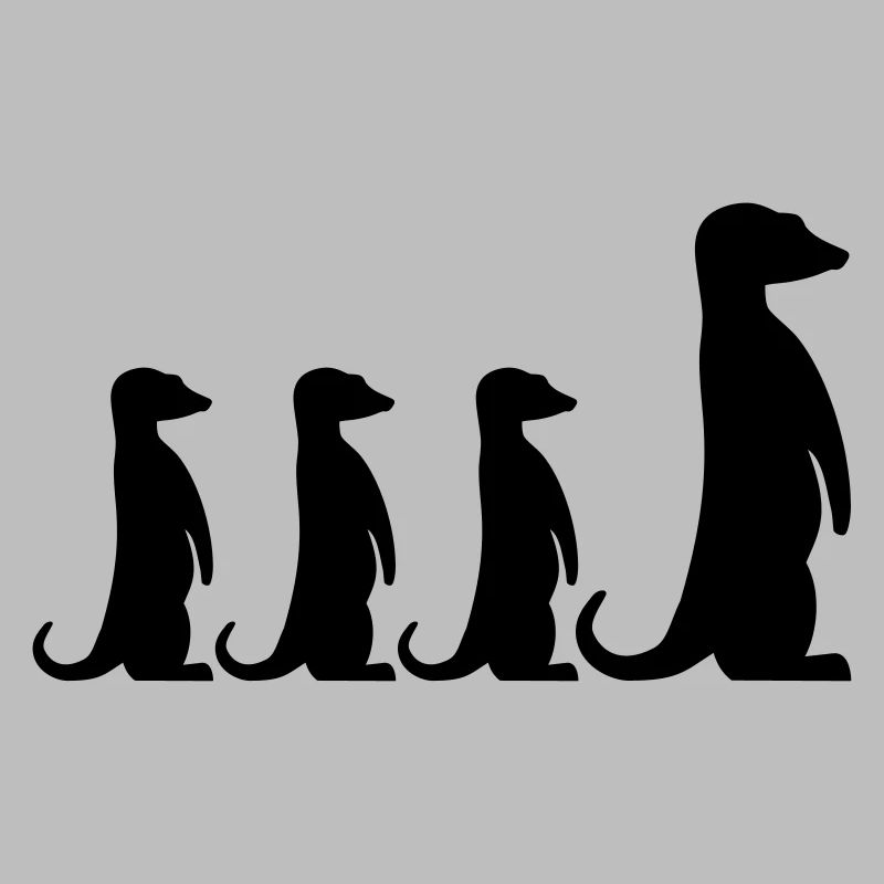 Suricate