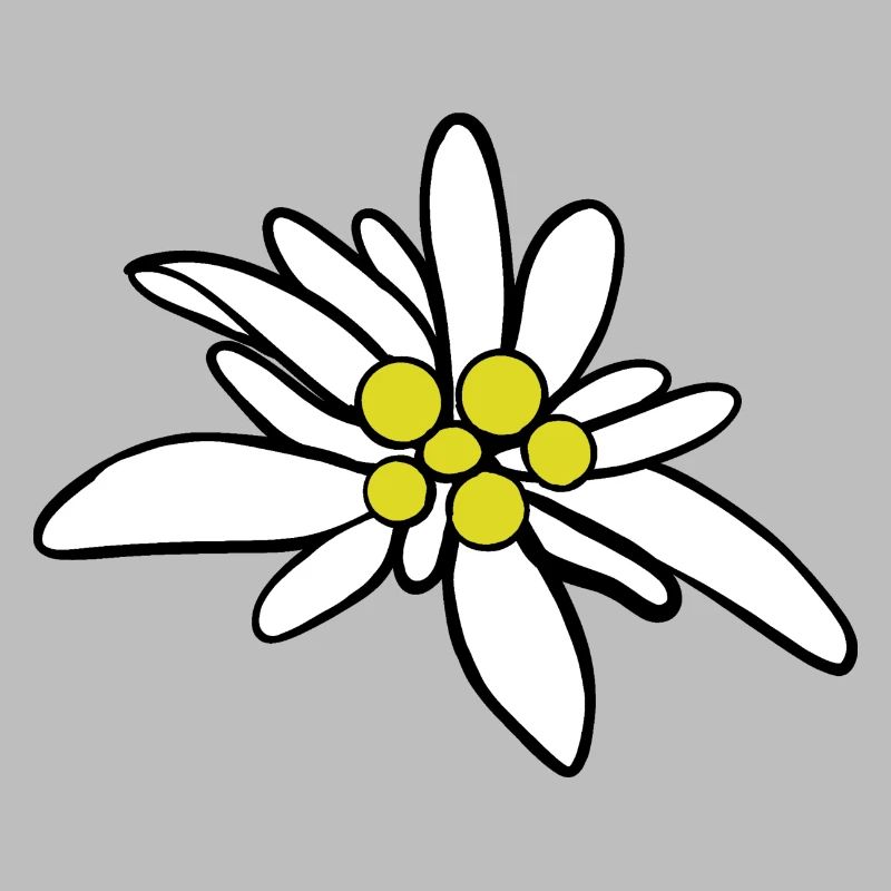 Edelweiß 1