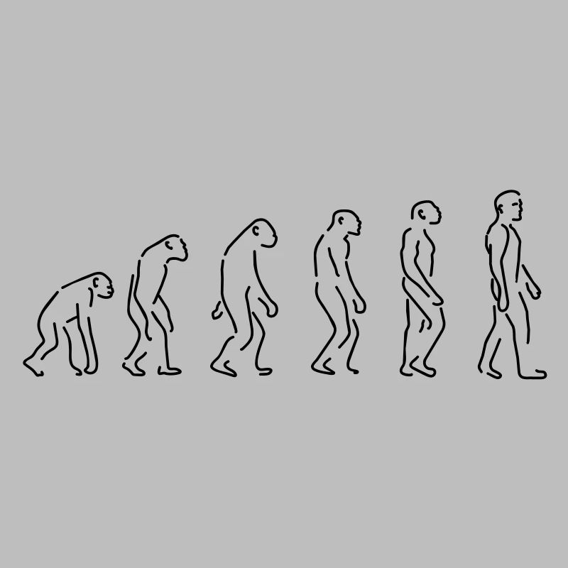 the evolution