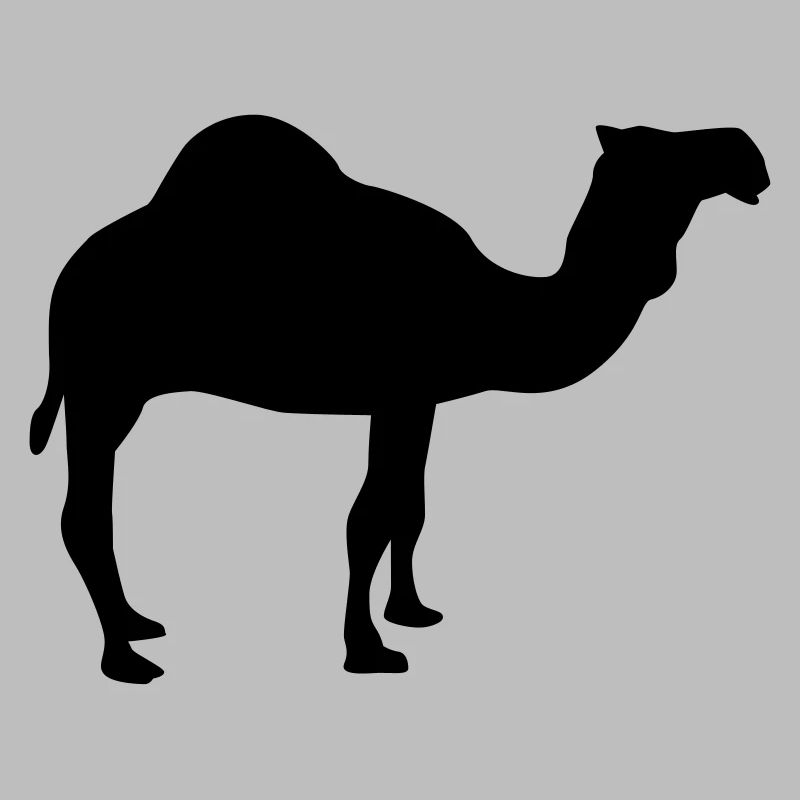 Kamel