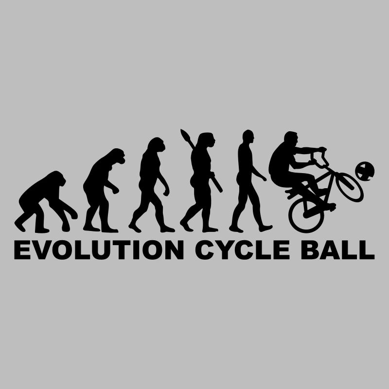 Evolution Cycle ball