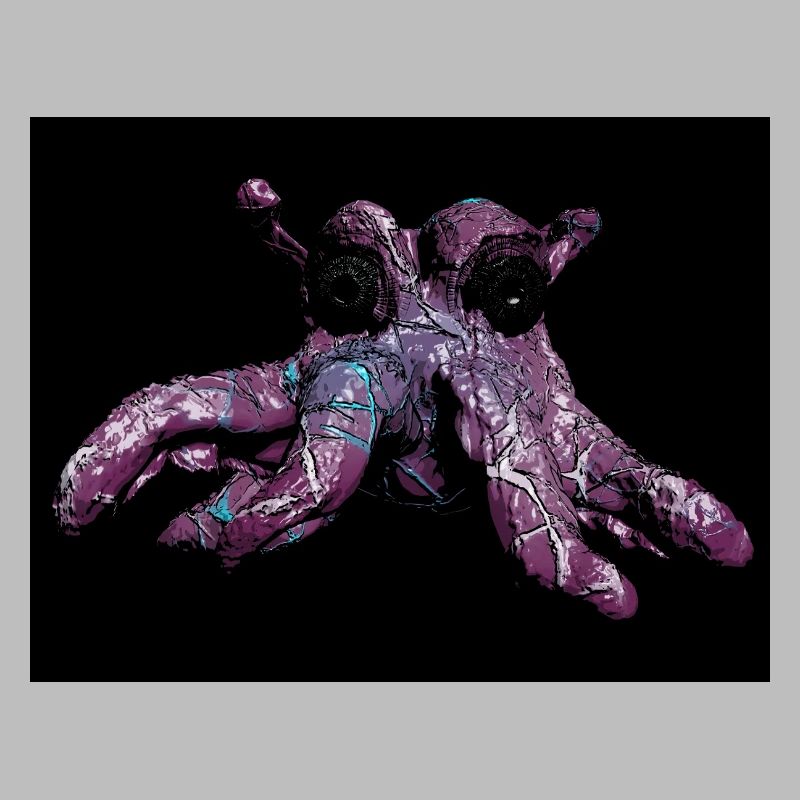 Octopus octopus