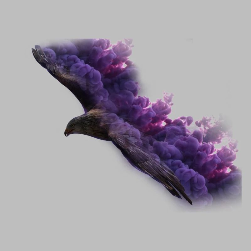 Eagle with smoke