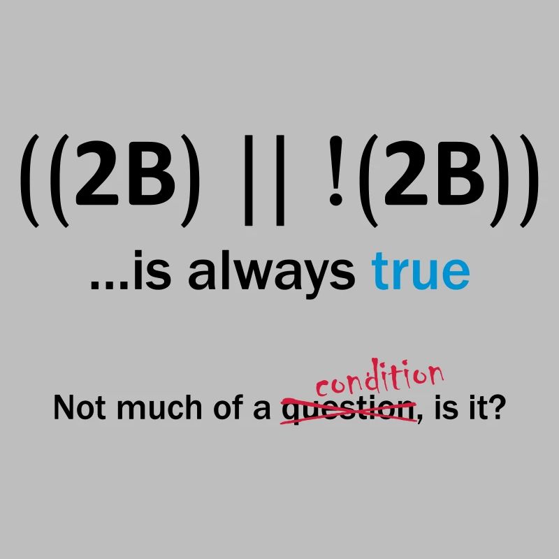 ((2B) || !(2B)) …is always true