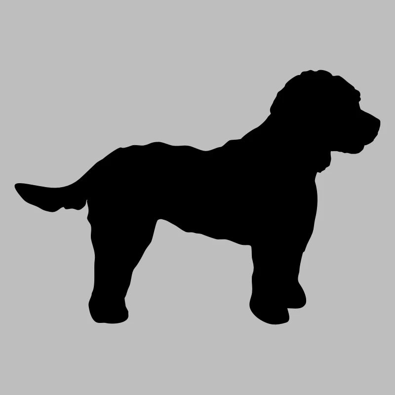 Cockapoo