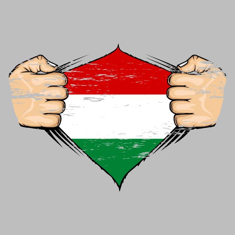 Drapeau de la Hongrie utilisé